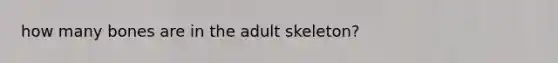 how many bones are in the adult skeleton?