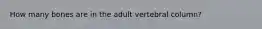 How many bones are in the adult vertebral column?