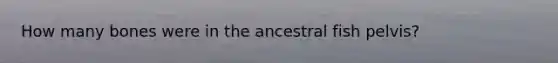 How many bones were in the ancestral fish pelvis?