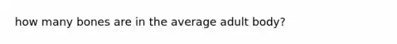 how many bones are in the average adult body?