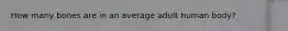 How many bones are in an average adult human body?