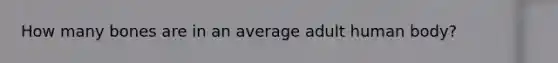 How many bones are in an average adult human body?