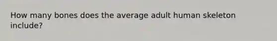 How many bones does the average adult human skeleton include?