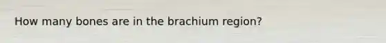 How many bones are in the brachium region?