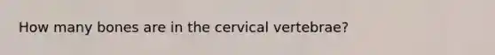 How many bones are in the cervical vertebrae?