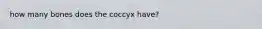 how many bones does the coccyx have?