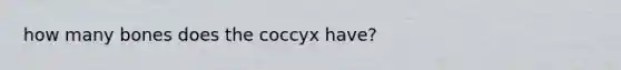 how many bones does the coccyx have?