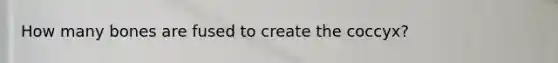 How many bones are fused to create the coccyx?