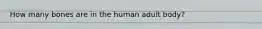 How many bones are in the human adult body?