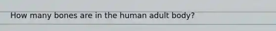 How many bones are in the human adult body?