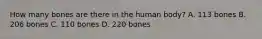 How many bones are there in the human body? A. 113 bones B. 206 bones C. 110 bones D. 220 bones