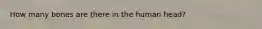 How many bones are there in the human head?