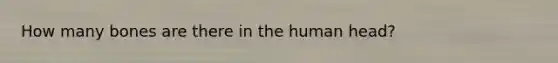 How many bones are there in the human head?