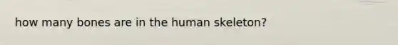 how many bones are in the human skeleton?