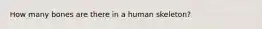 How many bones are there in a human skeleton?