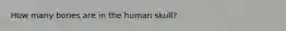 How many bones are in the human skull?