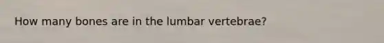 How many bones are in the lumbar vertebrae?