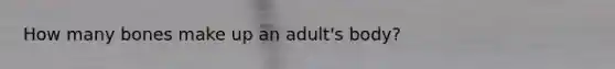 How many bones make up an adult's body?