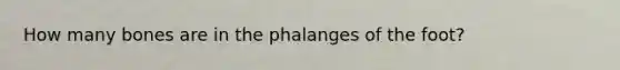 How many bones are in the phalanges of the foot?