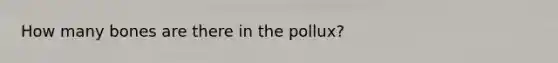 How many bones are there in the pollux?