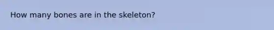 How many bones are in the skeleton?