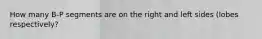 How many B-P segments are on the right and left sides (lobes respectively?
