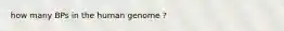 how many BPs in the human genome ?