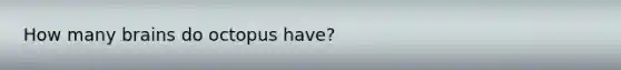 How many brains do octopus have?
