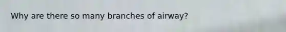 Why are there so many branches of airway?