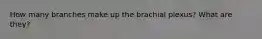 How many branches make up the brachial plexus? What are they?