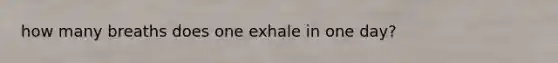 how many breaths does one exhale in one day?