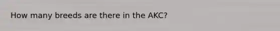 How many breeds are there in the AKC?