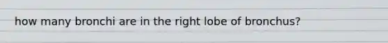 how many bronchi are in the right lobe of bronchus?