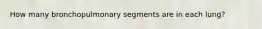 How many bronchopulmonary segments are in each lung?