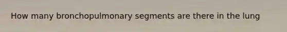 How many bronchopulmonary segments are there in the lung