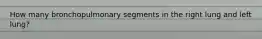 How many bronchopulmonary segments in the right lung and left lung?