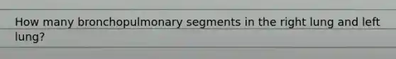 How many bronchopulmonary segments in the right lung and left lung?