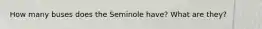 How many buses does the Seminole have? What are they?