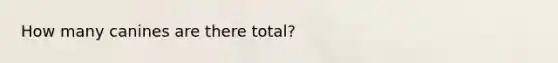 How many canines are there total?