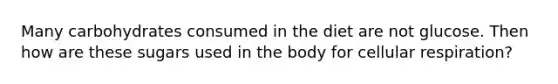 Many carbohydrates consumed in the diet are not glucose. Then how are these sugars used in the body for cellular respiration?