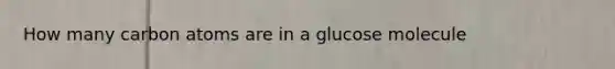 How many carbon atoms are in a glucose molecule