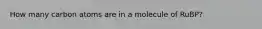 How many carbon atoms are in a molecule of RuBP?