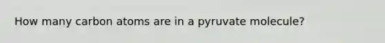 How many carbon atoms are in a pyruvate molecule?