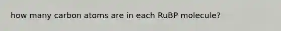 how many carbon atoms are in each RuBP molecule?
