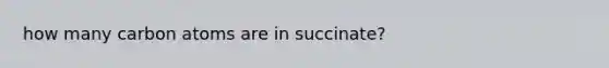 how many carbon atoms are in succinate?