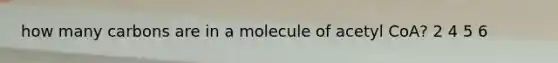 how many carbons are in a molecule of acetyl CoA? 2 4 5 6