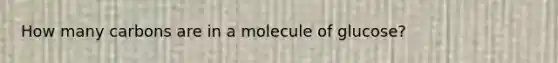 How many carbons are in a molecule of glucose?