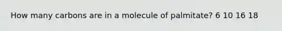 How many carbons are in a molecule of palmitate? 6 10 16 18