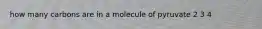 how many carbons are in a molecule of pyruvate 2 3 4