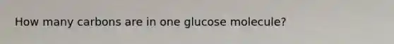 How many carbons are in one glucose molecule?